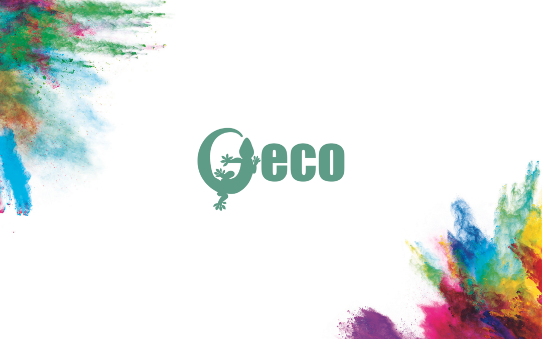 Rückblick GECO Festival: Bewegung in den öffentlichen Raum bringen